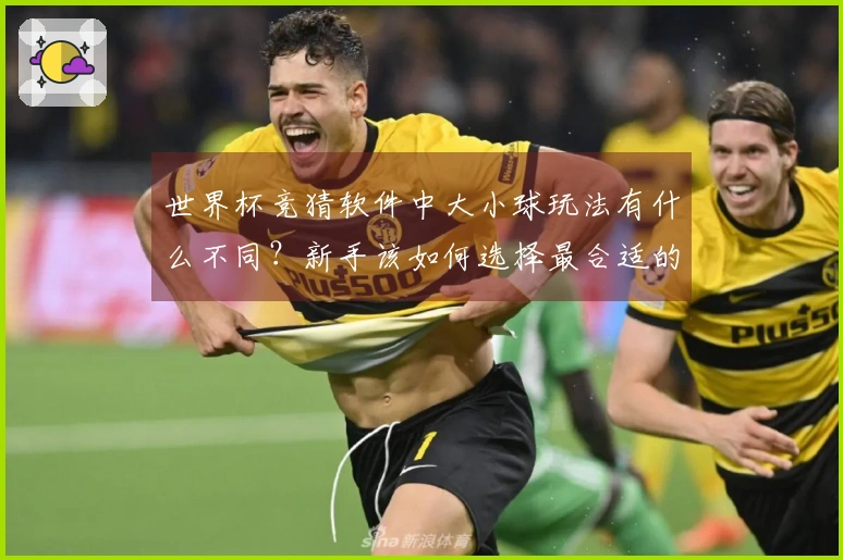 世界杯竞猜软件中大小球玩法有什么不同？新手该如何选择最合适的选项？