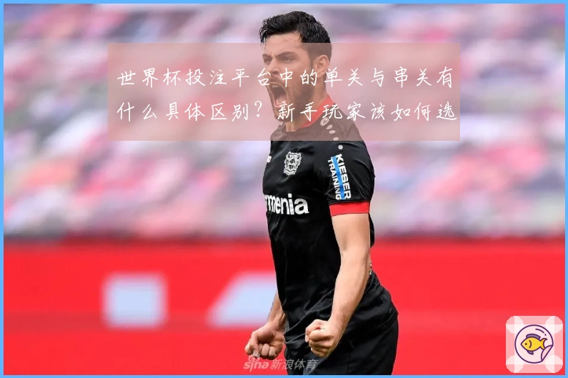世界杯投注平台中的单关与串关有什么具体区别？新手玩家该如何选择？