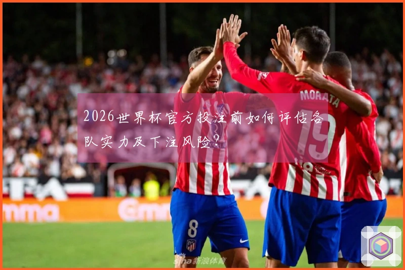 2026世界杯官方投注前如何评估各队实力及下注风险？