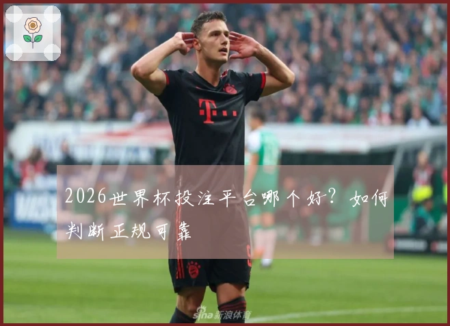 2026世界杯投注平台哪个好？如何判断正规可靠