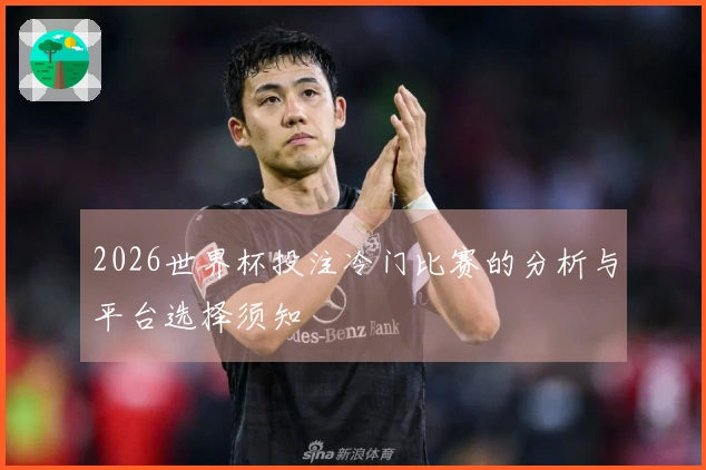 2026世界杯投注冷门比赛的分析与平台选择须知