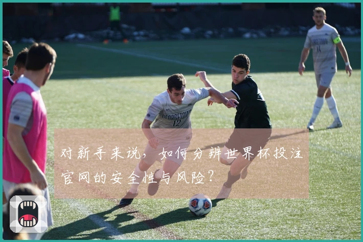 对新手来说，如何分辨世界杯投注官网的安全性与风险？