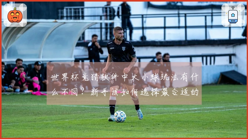 世界杯竞猜软件中大小球玩法有什么不同？新手该如何选择最合适的选项？