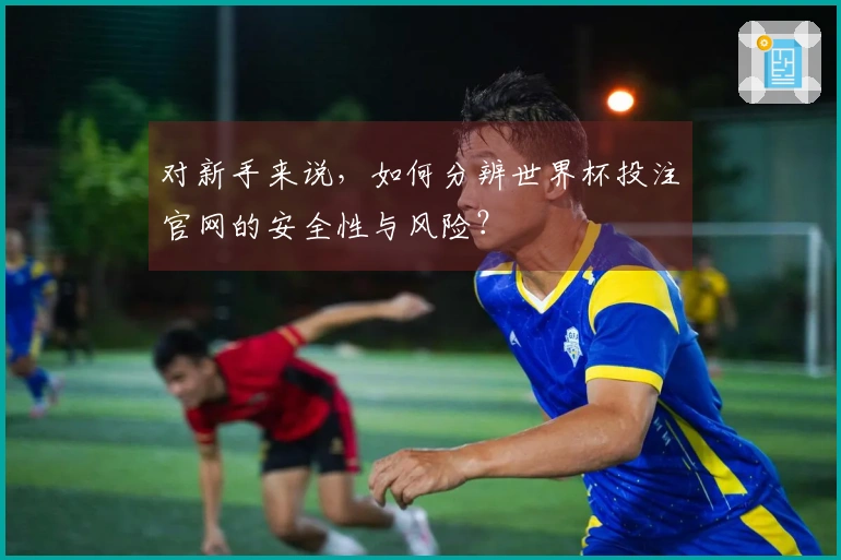 对新手来说，如何分辨世界杯投注官网的安全性与风险？